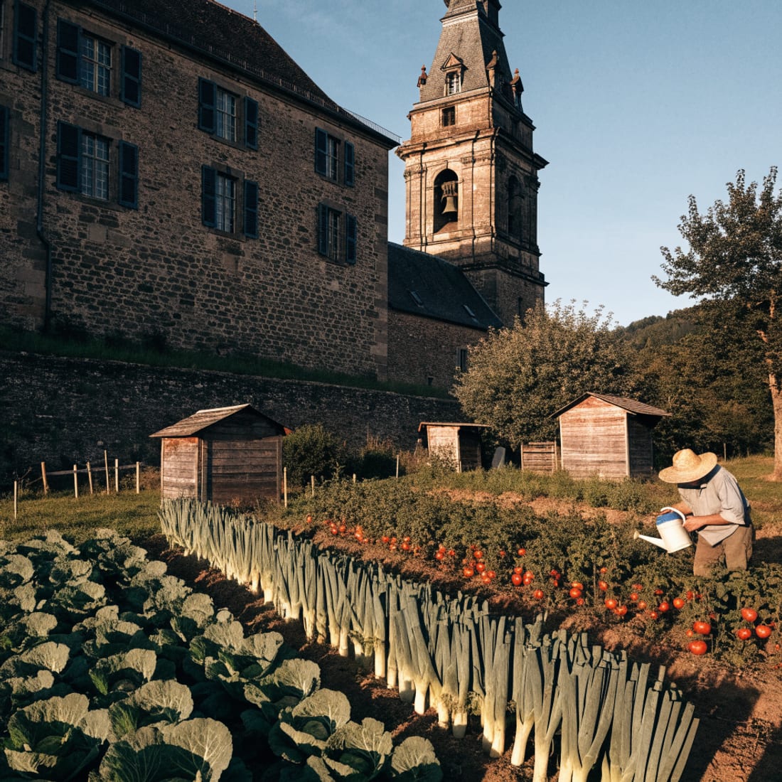 Les jardins familiaux au pied du château, poireaux et choux au premier plan
